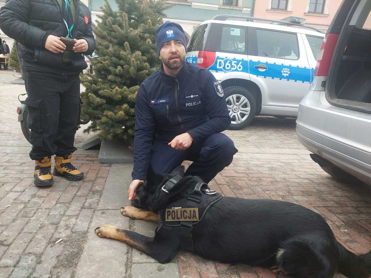 policyjny przewodnik z psem służbowym