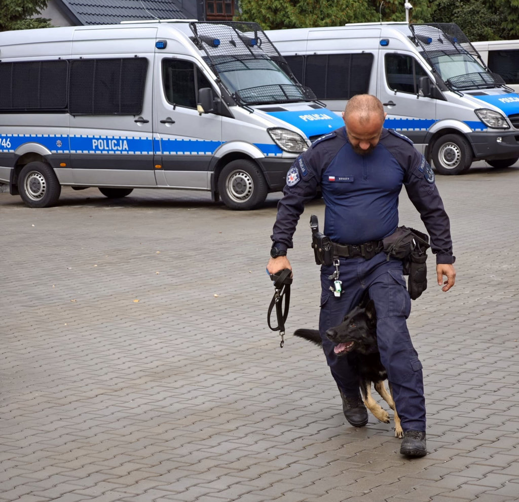 policyjny przewodnik z psem, w tle radiowozy