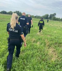 policjanci idą po łące podczas prowadzonych poszukiwań