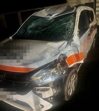 uszkodzony pojazd osobowy marki Dacia po tym jak uderzył w niego łoś