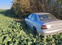 stojące tyłem osobowe audi w polu rzepaku