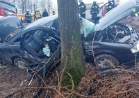 Audi, którego kierujący uderzył w drzewo