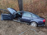 Audi, którego kierujący uderzył w drzewo