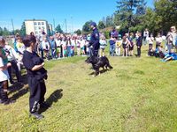 przewodnik z psem w czasie pikniku