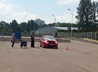 konkurencja jazda samochodem z talerzem, na którym jest piłka