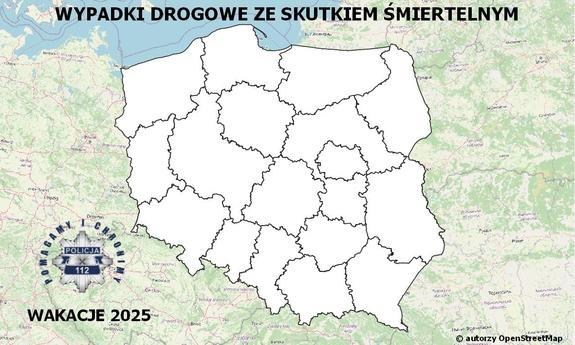 grafika mapy polski