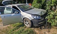 osobowy Opel, którego kierujący wjechał w ogrodzenie i krzewy