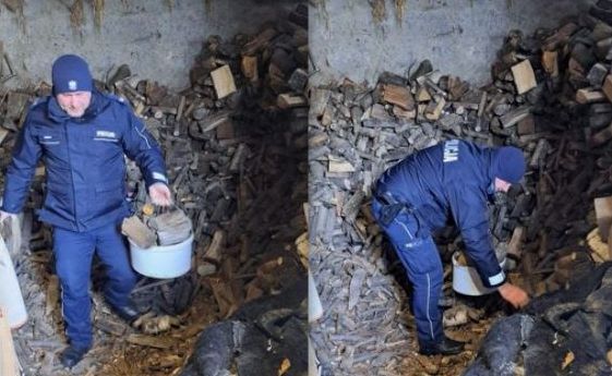 kolaż zdjęć, policjant nabiera do wiadra drewno