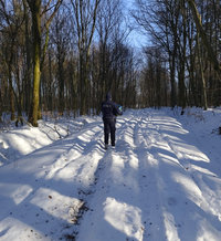 policjant idzie zaśnieżoną drogą w środku lasu