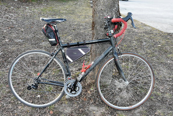 oparty o drzewo rower