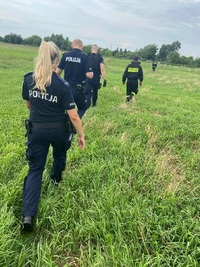 policjanci i strażacy idą polem w czasie akcji za zaginioną kobietą